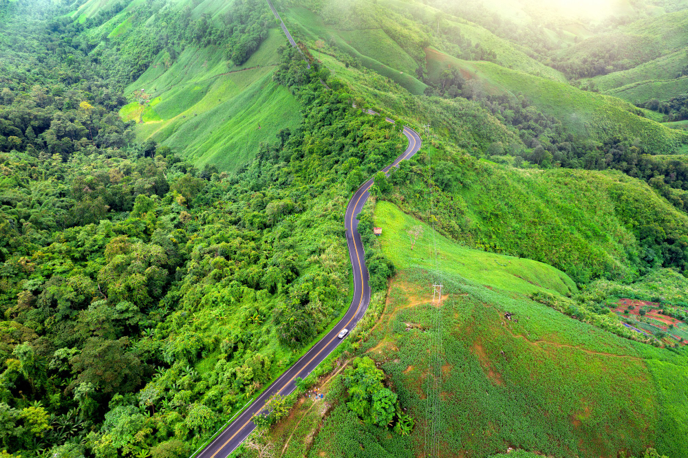 Scenic Sri Lankan road